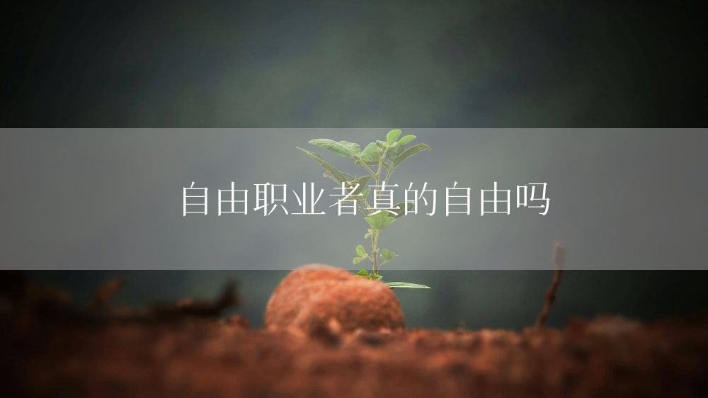 自由职业者真的自由吗