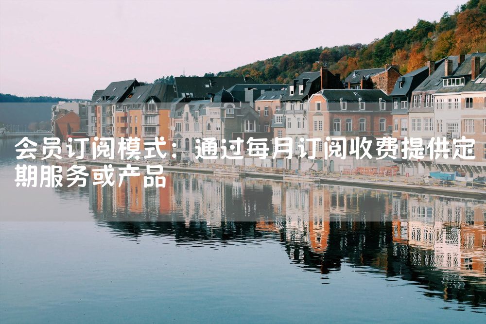会员订阅模式：通过每月订阅收费提供定期服务或产品