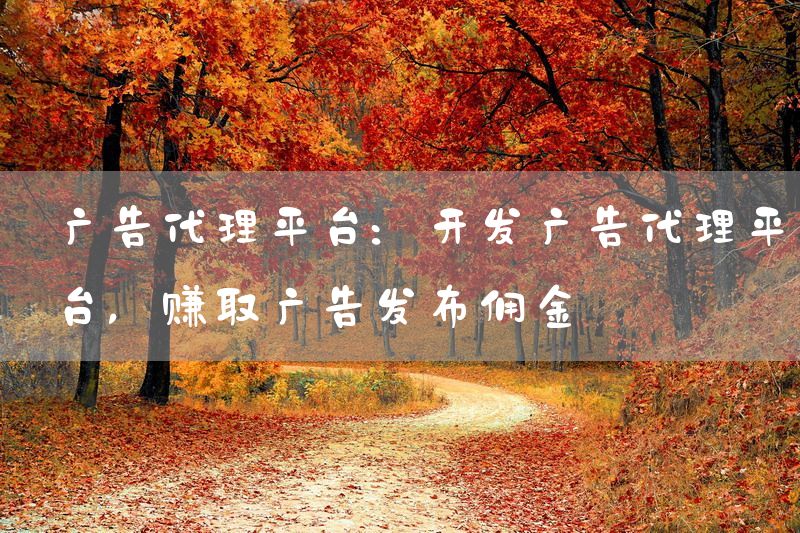 广告代理平台：开发广告代理平台，赚取广告发布佣金