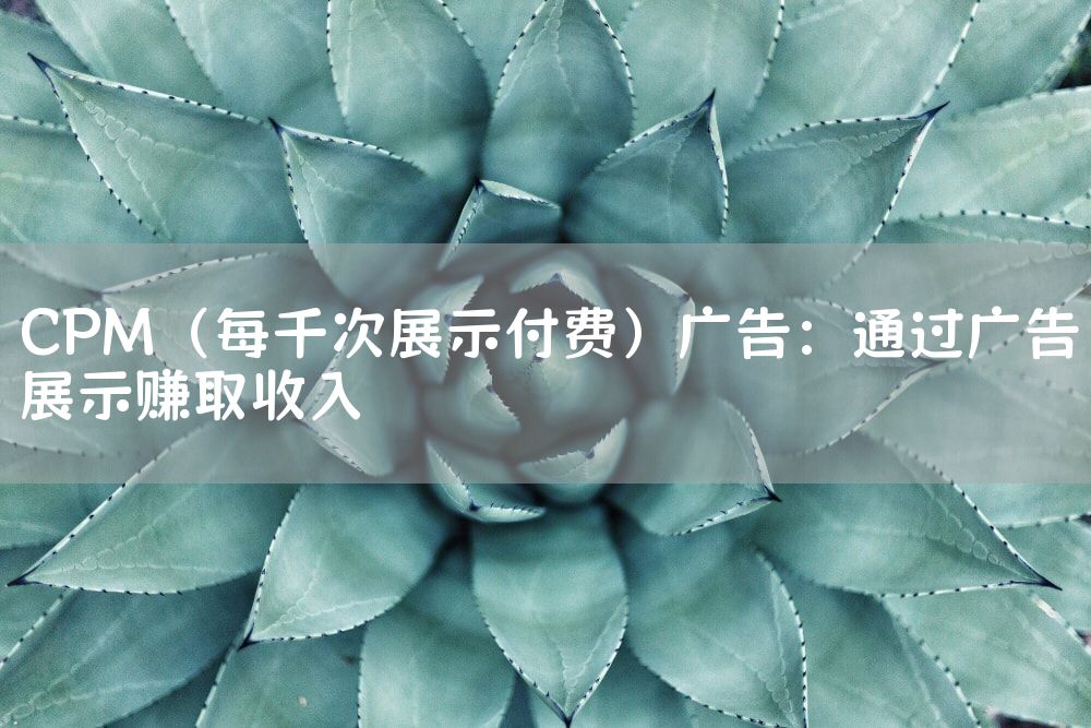 CPM（每千次展示付费）广告：通过广告展示赚取收入