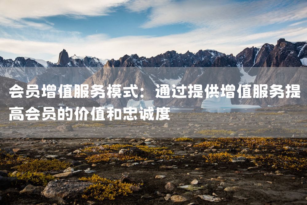 会员增值服务模式：通过提供增值服务提高会员的价值和忠诚度