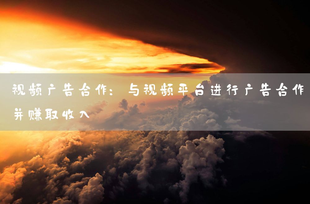 视频广告合作：与视频平台进行广告合作并赚取收入