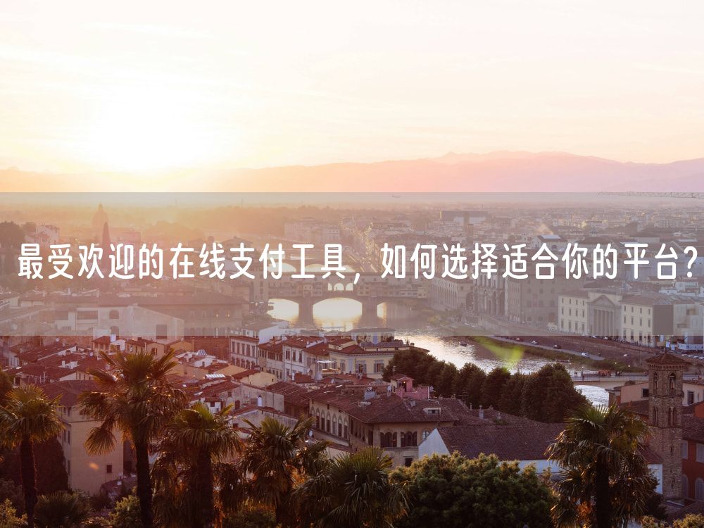 最受欢迎的在线支付工具，如何选择适合你的平台？
