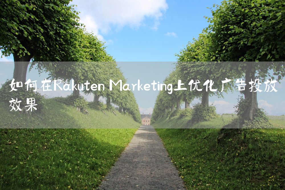 如何在Rakuten Marketing上优化广告投放效果