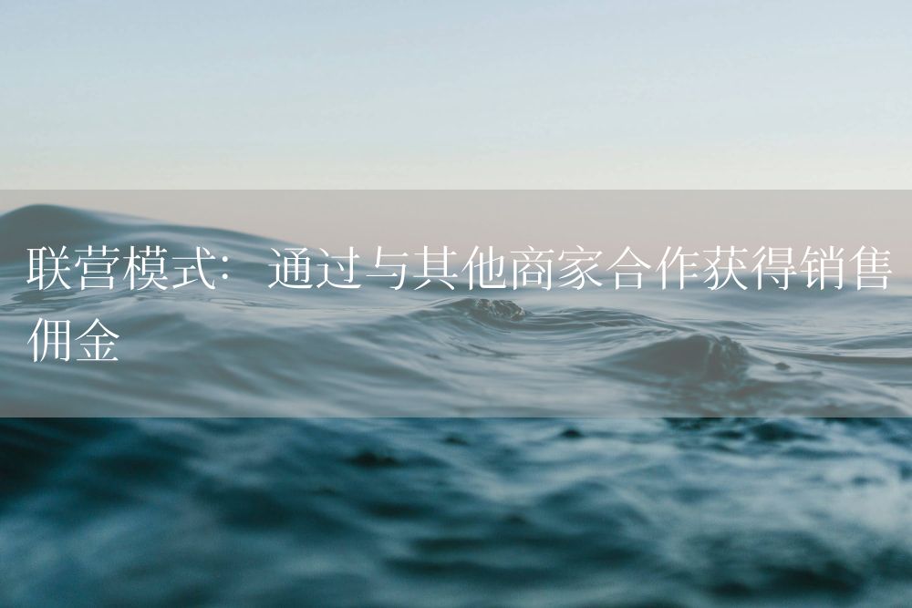 联营模式：通过与其他商家合作获得销售佣金