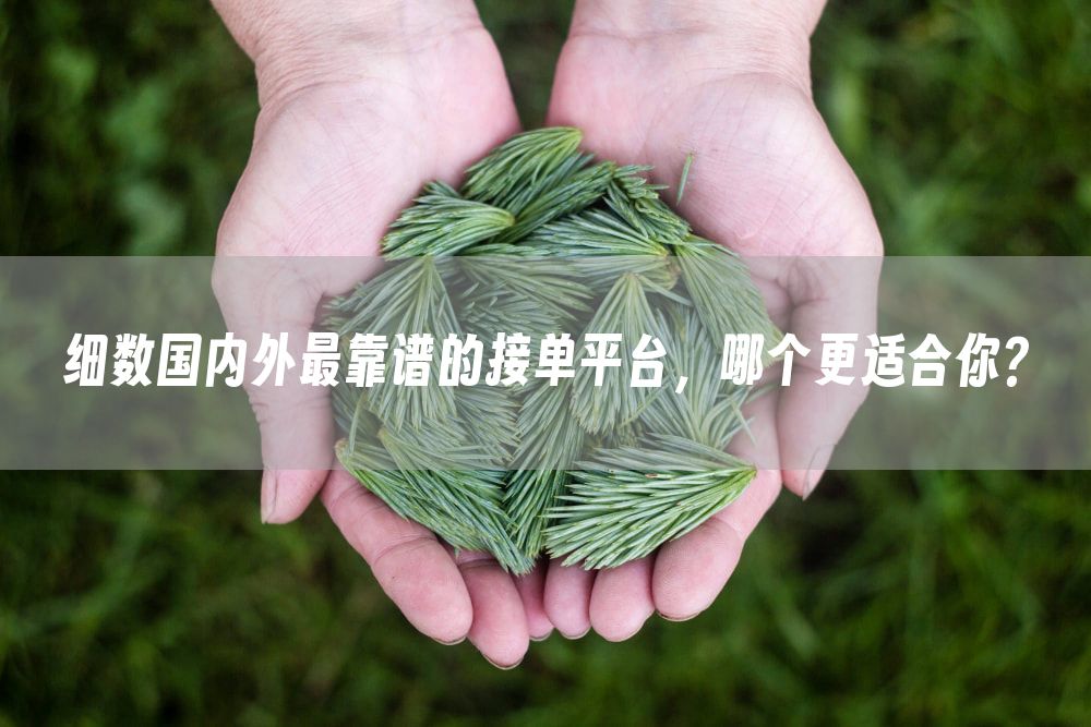 细数国内外最靠谱的接单平台，哪个更适合你？