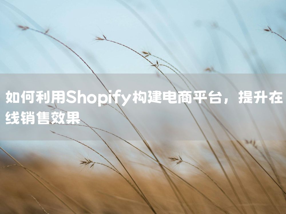 如何利用Shopify构建电商平台，提升在线销售效果