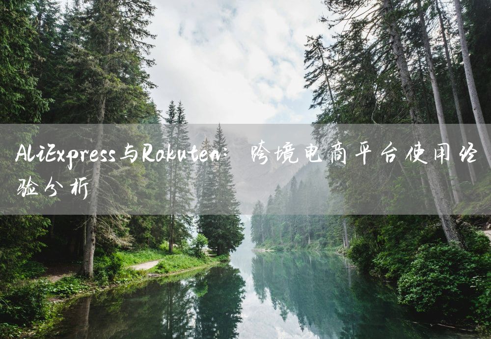 AliExpress与Rakuten：跨境电商平台使用经验分析