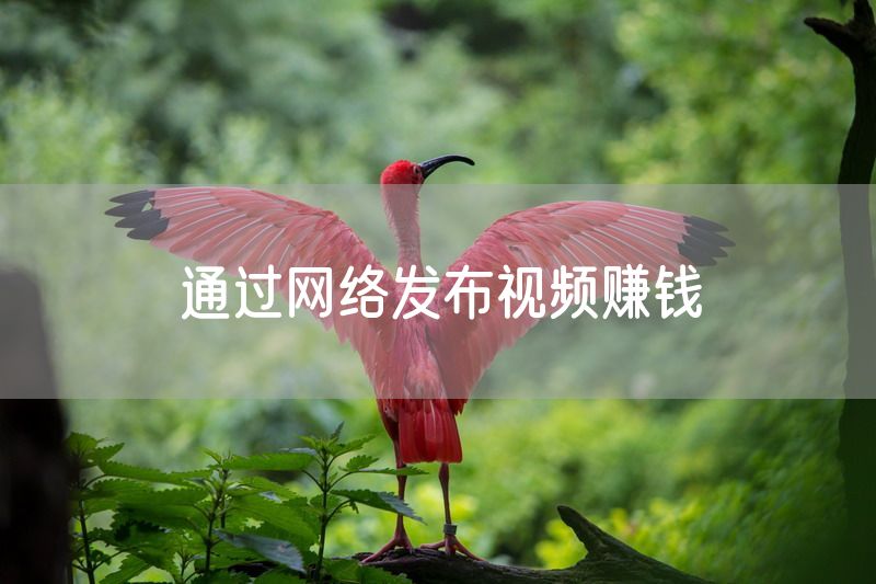 通过网络发布视频赚钱