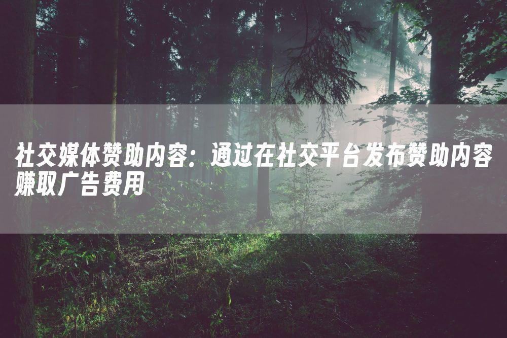 社交媒体赞助内容：通过在社交平台发布赞助内容赚取广告费用