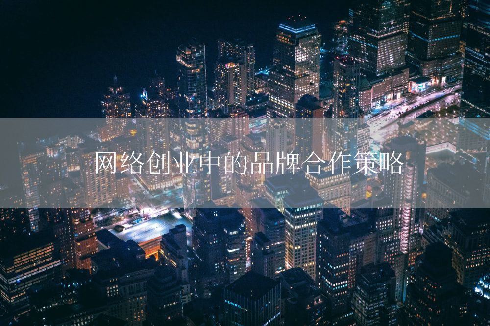 网络创业中的品牌合作策略