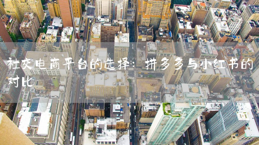 社交电商平台的选择：拼多多与小红书的对比