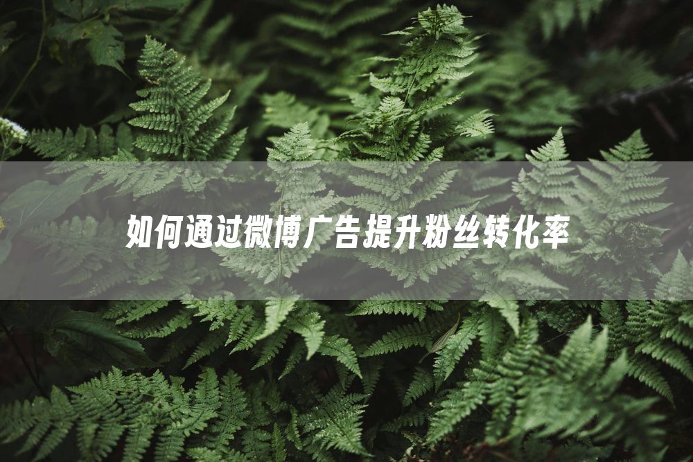 如何通过微博广告提升粉丝转化率