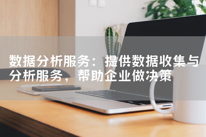 数据分析服务：提供数据收集与分析服务，帮助企业做决策