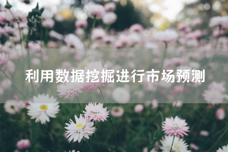 利用数据挖掘进行市场预测