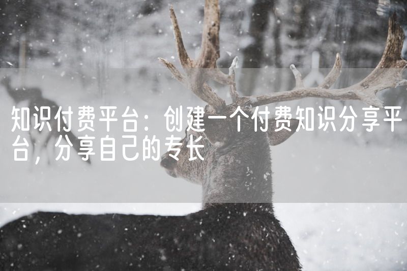 知识付费平台：创建一个付费知识分享平台，分享自己的专长