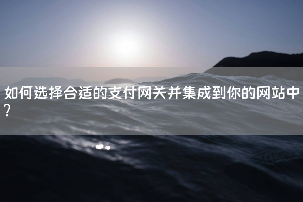 如何选择合适的支付网关并集成到你的网站中？