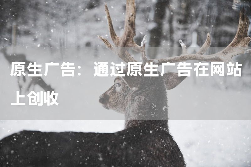 原生广告：通过原生广告在网站上创收