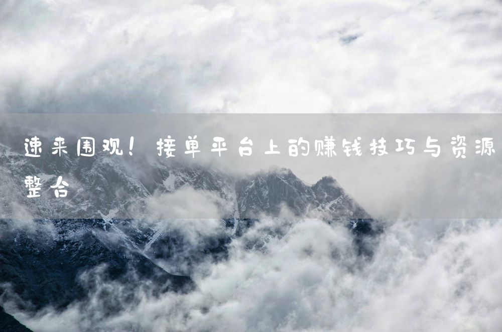 速来围观！接单平台上的赚钱技巧与资源整合