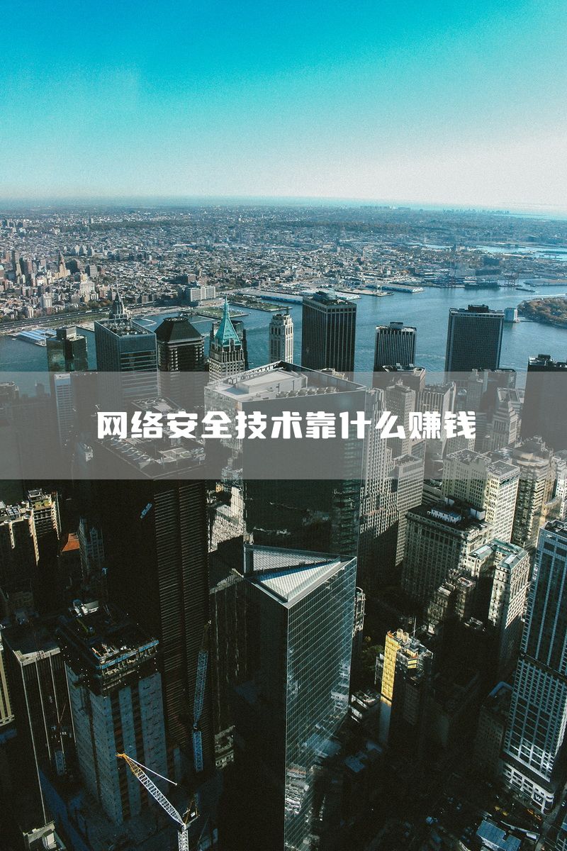 网络安全技术靠什么赚钱
