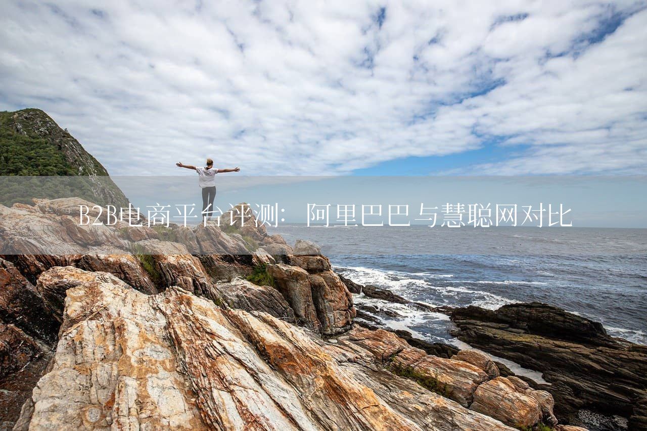 B2B电商平台评测：阿里巴巴与慧聪网对比