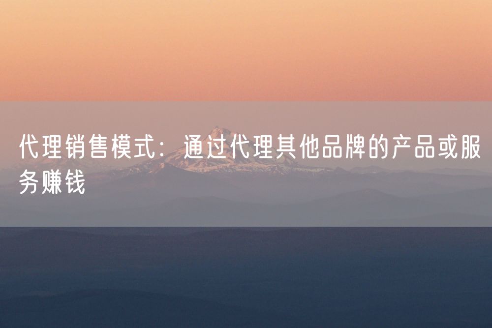 代理销售模式：通过代理其他品牌的产品或服务赚钱