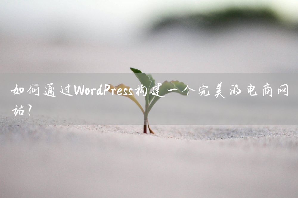 如何通过WordPress构建一个完美的电商网站？