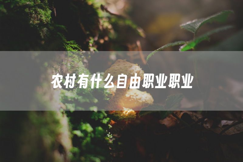 农村有什么自由职业职业