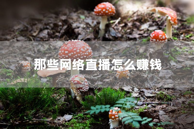 那些网络直播怎么赚钱
