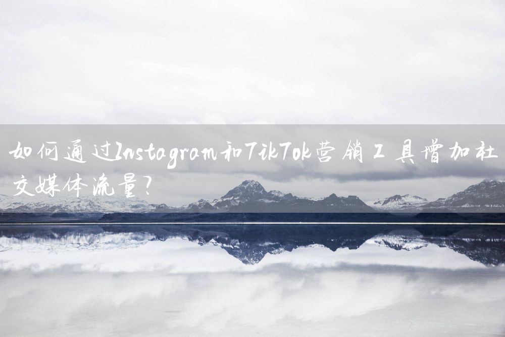 如何通过Instagram和TikTok营销工具增加社交媒体流量？