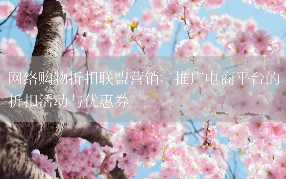 网络购物折扣联盟营销：推广电商平台的折扣活动与优惠券