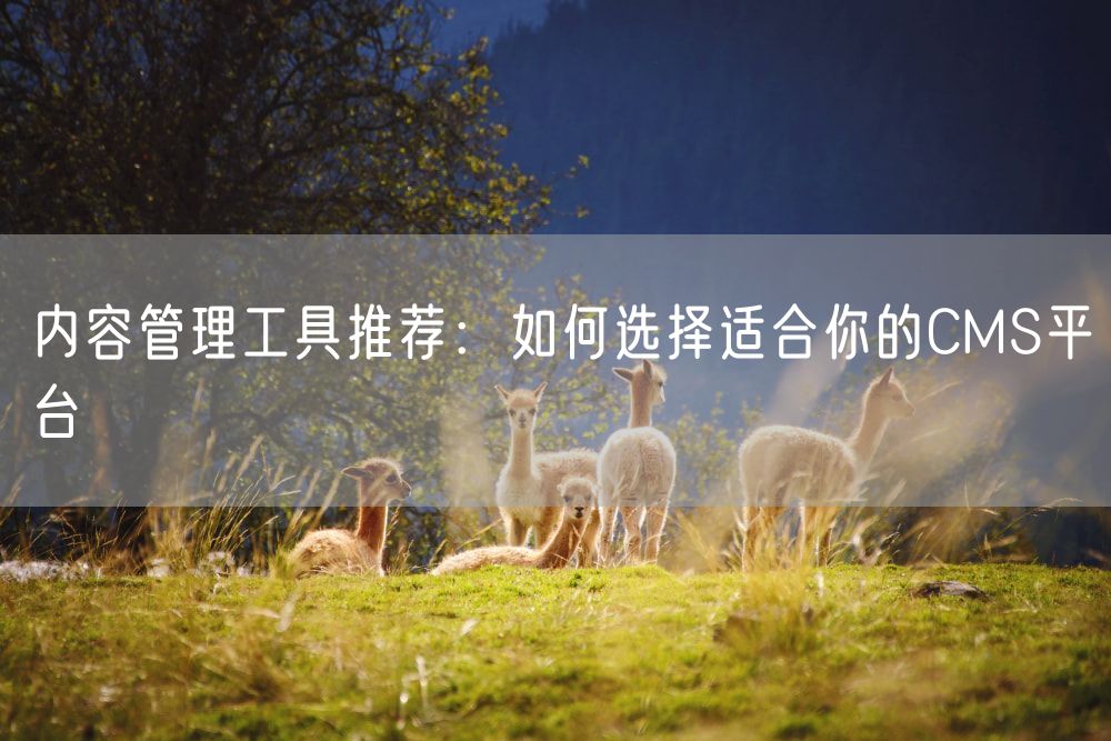 内容管理工具推荐：如何选择适合你的CMS平台