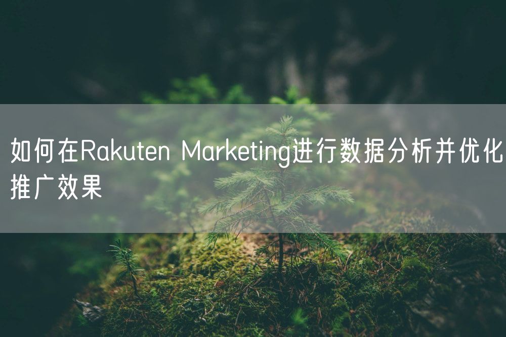 如何在Rakuten Marketing进行数据分析并优化推广效果