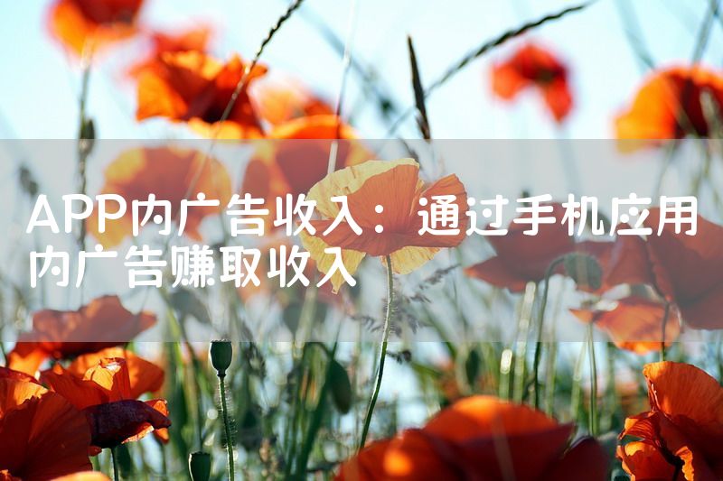 APP内广告收入：通过手机应用内广告赚取收入