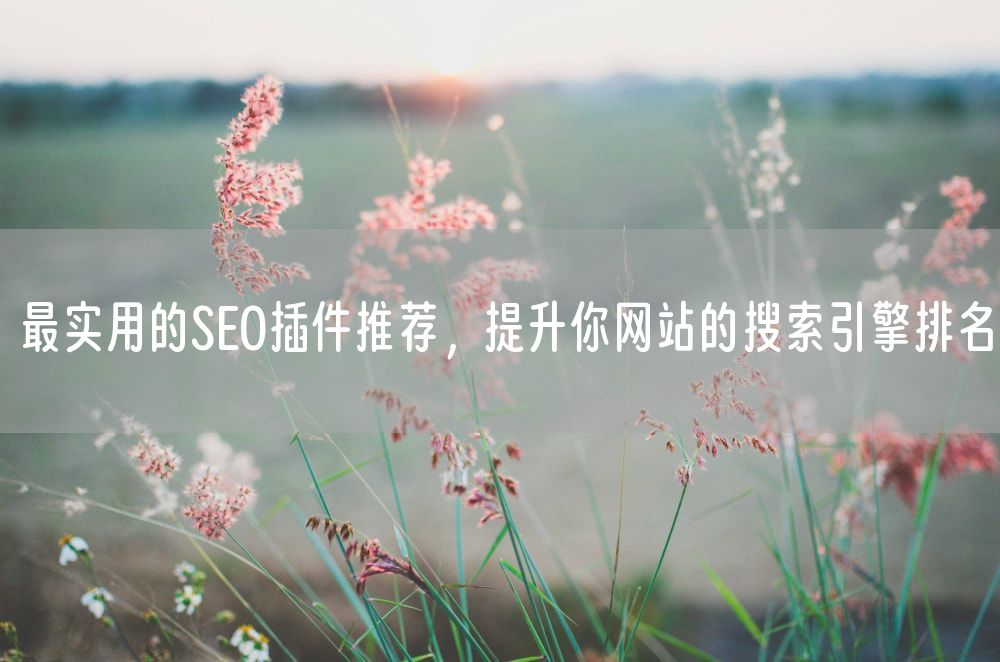 最实用的SEO插件推荐，提升你网站的搜索引擎排名