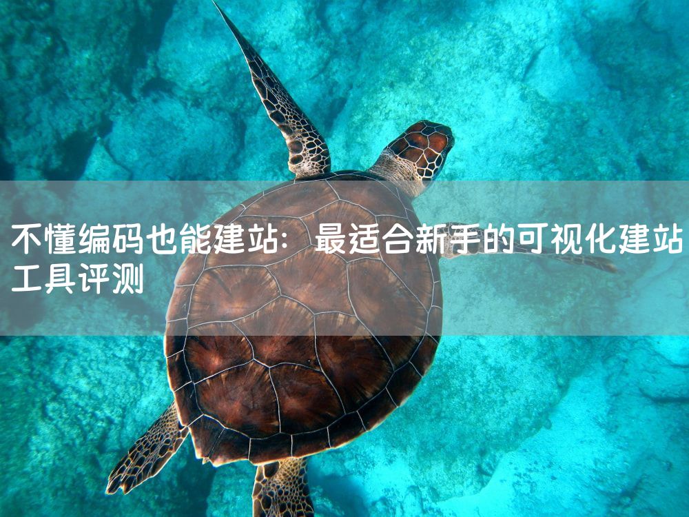 不懂编码也能建站：最适合新手的可视化建站工具评测