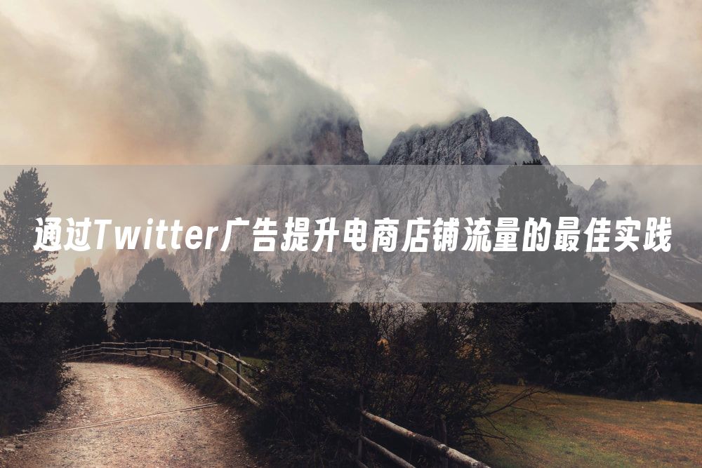 通过Twitter广告提升电商店铺流量的最佳实践
