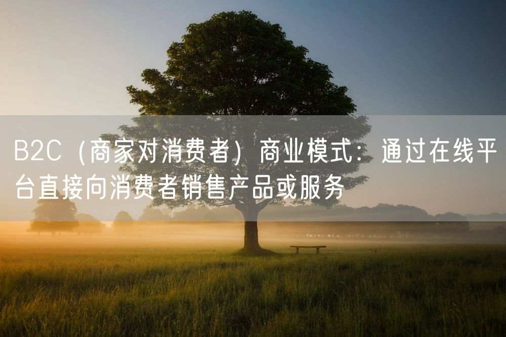 B2C（商家对消费者）商业模式：通过在线平台直接向消费者销售产品或服务