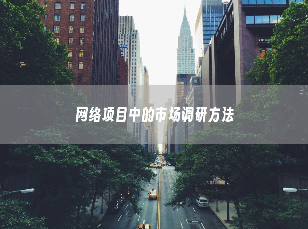 网络项目中的市场调研方法