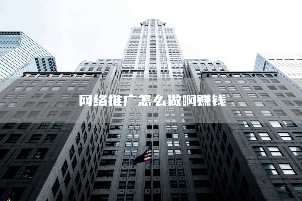 网络推广怎么做啊赚钱