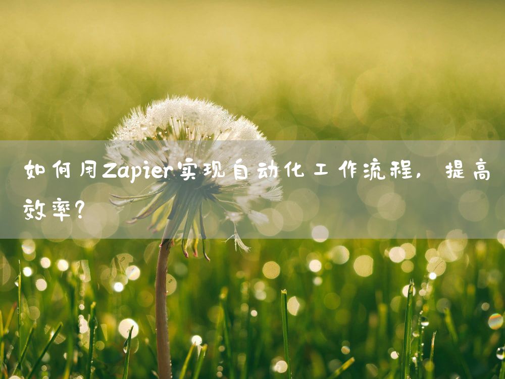 如何用Zapier实现自动化工作流程，提高效率？