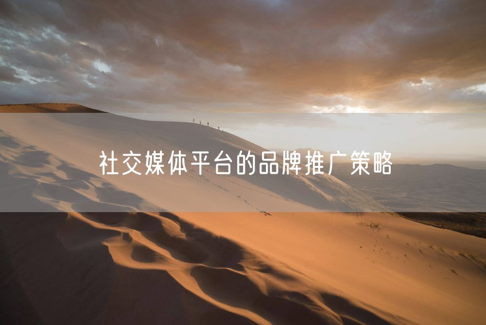 社交媒体平台的品牌推广策略