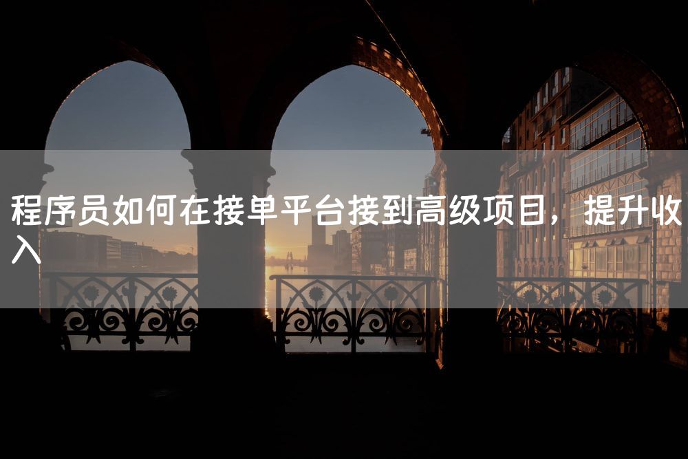 程序员如何在接单平台接到高级项目，提升收入