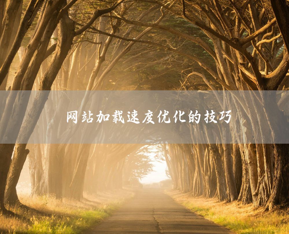 网站加载速度优化的技巧