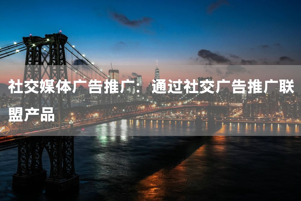 社交媒体广告推广：通过社交广告推广联盟产品