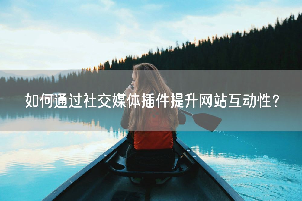 如何通过社交媒体插件提升网站互动性？