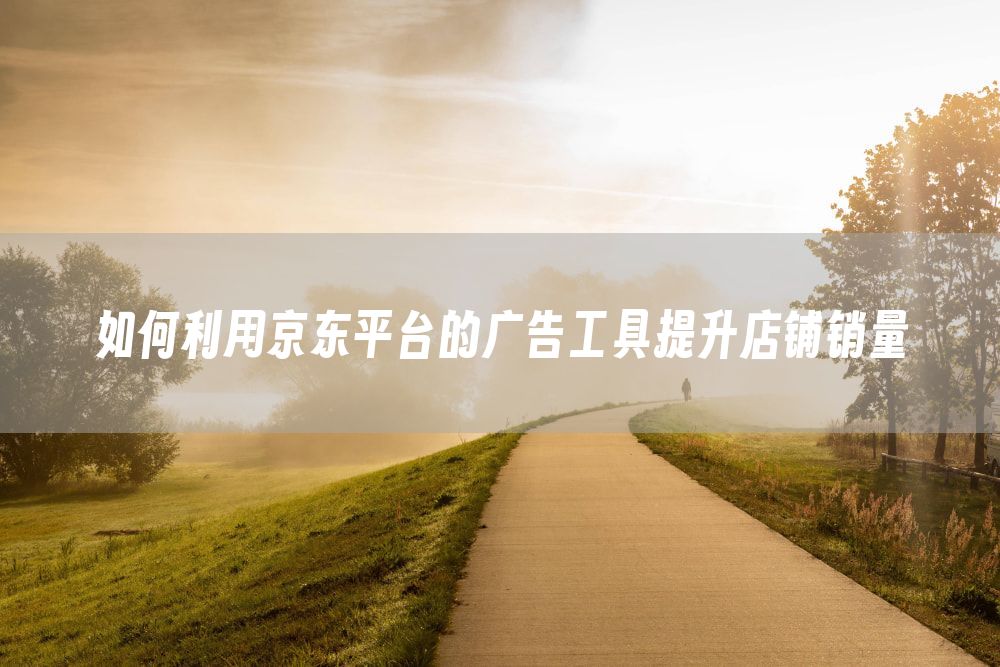 如何利用京东平台的广告工具提升店铺销量