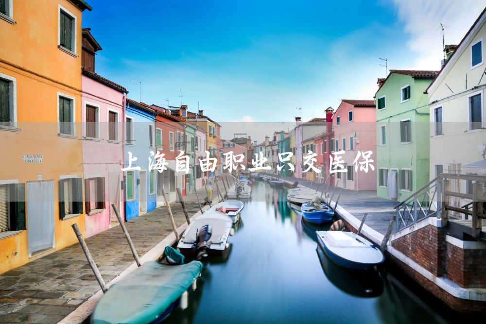 上海自由职业只交医保