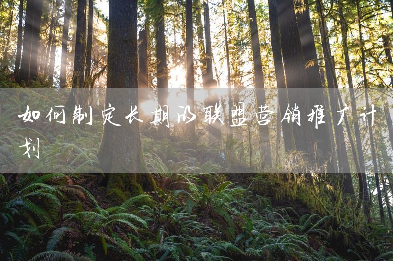 如何制定长期的联盟营销推广计划