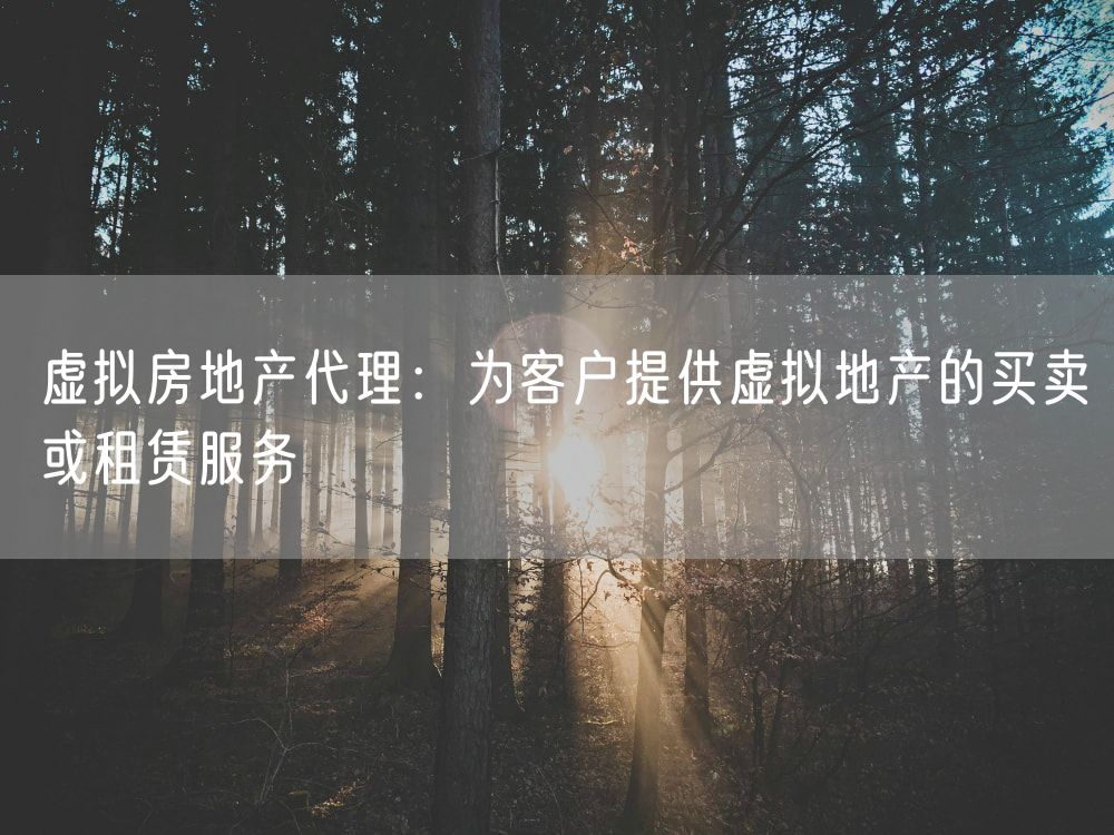 虚拟房地产代理：为客户提供虚拟地产的买卖或租赁服务